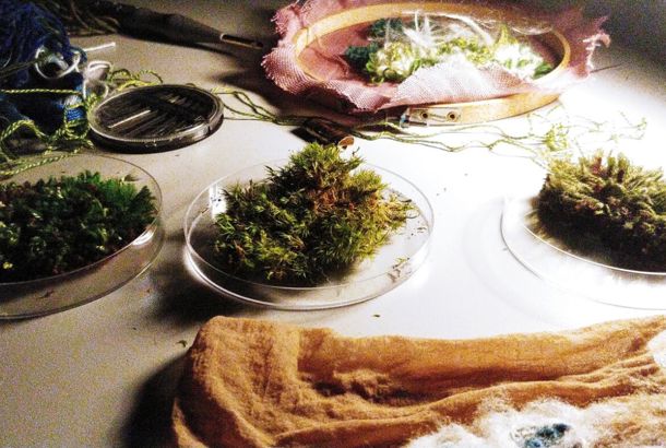 Tekstilkunst efter mos